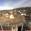 10_40-nest.jpg