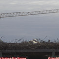 10_45-mast.jpg