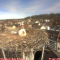 10_45-nest.jpg
