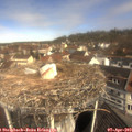 10_50-nest.jpg