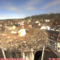 10_55-nest.jpg