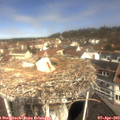 11_00-nest.jpg