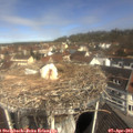 11_05-nest.jpg