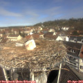 11_10-nest.jpg
