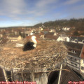 11_25-nest.jpg