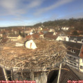 11_30-nest.jpg
