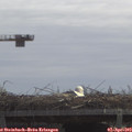 11_35-mast.jpg