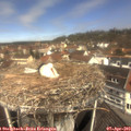 11_35-nest.jpg