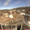 11_40-nest.jpg