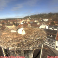11_55-nest.jpg