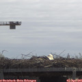 12_00-mast.jpg