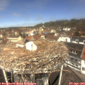 12_00-nest.jpg