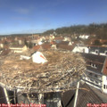 12_05-nest.jpg