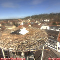 12_15-nest.jpg