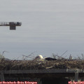 12_25-mast.jpg