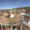 12_25-nest.jpg
