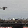 12_30-mast.jpg