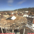 12_30-nest.jpg