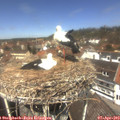 12_40-nest.jpg
