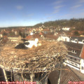 12_55-nest.jpg