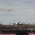 13_00-mast.jpg