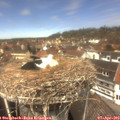 13_00-nest.jpg