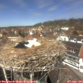 13_05-nest.jpg