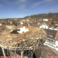 13_10-nest.jpg