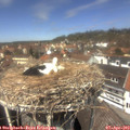 13_15-nest.jpg