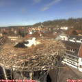 13_20-nest.jpg