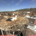 13_25-nest.jpg