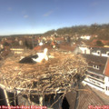 13_30-nest.jpg