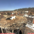 13_35-nest.jpg