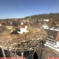 13_40-nest.jpg