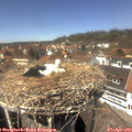 13_45-nest.jpg