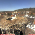 13_50-nest.jpg