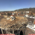 14_00-nest.jpg