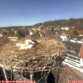 14_05-nest.jpg