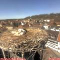 14_15-nest.jpg