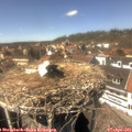 14_25-nest.jpg