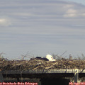 14_35-mast.jpg