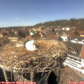 14_35-nest.jpg