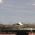 14_40-mast.jpg