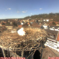 14_55-nest.jpg