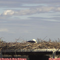 15_05-mast.jpg
