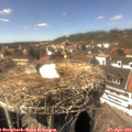 15_05-nest.jpg