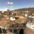15_20-nest.jpg