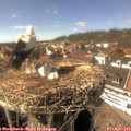 15_30-nest.jpg