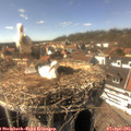 15_35-nest.jpg