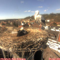 15_45-nest.jpg